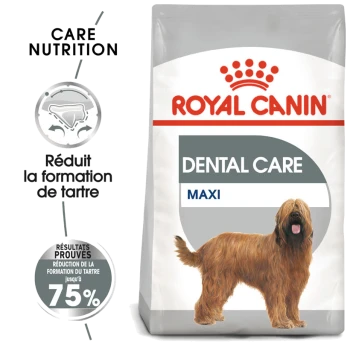 Sac de nourriture pour chiens Royal Canin Dental Care Maxi avec un chien brun, indiquant "Réduit la formation de tartre jusqu'à 75 %."