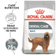 Sac de nourriture pour chiens Royal Canin Dental Care Maxi avec un chien brun, indiquant "Réduit la formation de tartre jusqu'à 75 %."
