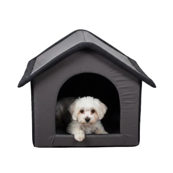 Kleiner weißer, flauschiger Hund liegt in einer grauen Stoff-Hundehütte, Kopf und Pfote ruhen am Eingang.