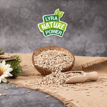 Schüssel mit Sonnenblumenkernen mit einem Holzlöffel, umgeben von natürlichen Elementen, mit dem Logo 'Lyra Nature Power'.