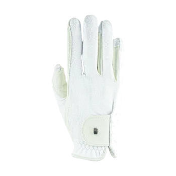 Weißer Tierpflegehandschuh mit einem Netzdesign und einem sicheren Handgelenksverschluss, ideal zum Bürsten und Enthaaren von Haustieren.