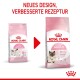 Mother & Babycat 400 g