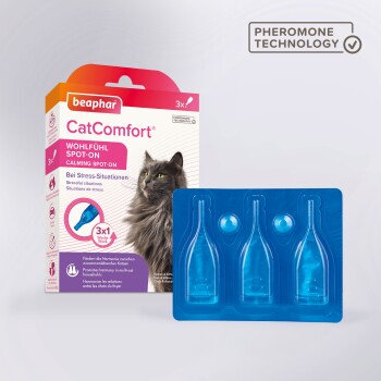 CatComfort, spray calmant aux phéromones pour chat et chaton