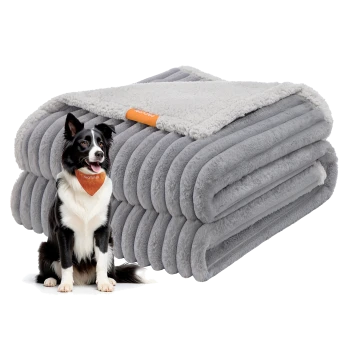 Schwarz-weißer Border Collie mit orangefarbener Bandana sitzt neben einer gefalteten grauen Plüsch-Tierdecke mit weißem Fleece-Futter.