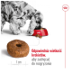 Cocker spaniel je z czerwonej miski, zbliżenie na krokiety w kształcie pączka oznaczone "Ideal kibble size to encourage chewing."
