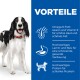 Ein glücklicher schwarz-weißer Hund steht neben einem blauen Panel mit dem Titel "VORTEILE," das Vorteile für Haut, Verdauung und Muskeln auflistet.