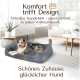 Gemütliches graues Hundebett in einem modernen Wohnzimmer mit einem ruhenden Hund. Text: "Komfort trifft Design - stilvolles Hundebett für jedes Zuhause."