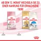 Bild von Royal Canin Haustierfuttertüten: Kitten, Maine Coon und Indoor-Sorten, mit dem Hinweis, nach 12 Monaten auf Erwachsenenfutter umzusteigen.