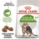 Karma dla kotów Royal Canin Active Life Outdoor dla kotów 7+, z ilustracją kota bengalskiego, szczegółami dotyczącymi rozmiaru krokietów i informacjami o zdrowotnych wartościach odżywczych w języku polskim.