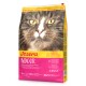 Josera INDOOR Adult Katzenfutterbeutel mit großem Katzengesicht, gelb-rosa Verpackung mit den Aufschriften 'Josera', 'INDOOR', 'ADULT', '10 kg'