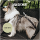 Ein flauschiger, grau-weißer Hund, der ein schwarzes Sicherheitsgeschirr trägt, sitzt in einem Auto, mit dem Text "ABGESICHERT" und "NACH STVO" sichtbar.