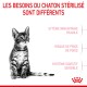 Un chaton tigré sur un fond blanc avec du texte rouge : "LES BESOINS DU CHATON STÉRILISÉ SONT DIFFÉRENTS" et trois besoins énumérés.