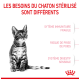 Un chaton tigré sur un fond blanc avec du texte rouge : "LES BESOINS DU CHATON STÉRILISÉ SONT DIFFÉRENTS" et trois besoins énumérés.