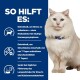 Ein flauschiger weißer Hund sitzt neben einem blauen Hintergrund mit Text über ein Haustierprodukt, das Stress reduziert und Struvitsteine auflöst.