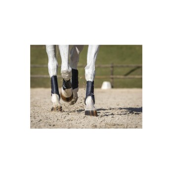 Eine Nahaufnahme der Beine eines weißen Pferdes in Bewegung, das schwarze Schutzstiefel trägt und Sand in einer Außenarena aufwirbelt.