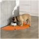Ein beiger Französischer Bulldogge mit einem braunen Halsband frisst aus einer weißen Schüssel auf einem Holzständer, der auf einer orangefarbenen Futtermatte in einer modernen Küche platziert ist.