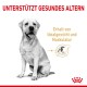 Ein sitzender Hund in Graustufen mit einem verschwommenen Gesicht, begleitet von dem Text 'UNTERSTÜTZT GESUNDES ALTERN' und 'Erhalt von Idealgewicht und Muskulatur.'