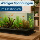 Glas-Aquarium mit Treibholz, grünen Pflanzen und orangenen Fischen auf einem Tisch; Textbanner ‚Weniger Spannungen im Glasbecken‘.