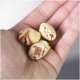 Eine Hand, die drei kleine, runde Haustierleckerlis mit einer hellgelben und braunen marmorierten Erscheinung hält.