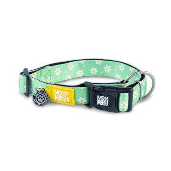 Grünes Hundehalsband mit weißen Gänseblümchen, schwarzer Schnalle, Metallringen und Anhängern mit der Aufschrift „Max & Molly“ und „Verloren? Bitte zurückbringen.“