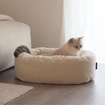 Cremefarbene blauäugige Katze sitzt in einem runden beigen Cord-Katzenbett auf einem Holzboden, im Hintergrund helle Vorhänge und ein Sofa.