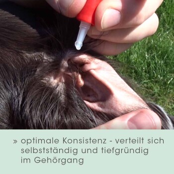 Eine Person, die eine flüssige Behandlung ins Ohr eines Haustieres aufträgt, hält eine rote Flasche. Text: "optimale Konsistenz - verteilt sich selbstständig."