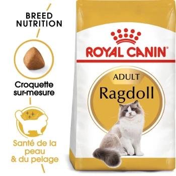Sac de nourriture pour chats Royal Canin Ragdoll mettant en avant un chat Ragdoll duveteux, soulignant "Adulte", "Nutrition de race" et des croquettes pour la santé de la peau et du pelage.