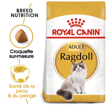 Sac de nourriture pour chats Royal Canin Ragdoll mettant en avant un chat Ragdoll duveteux, soulignant "Adulte", "Nutrition de race" et des croquettes pour la santé de la peau et du pelage.