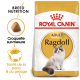 Sac de nourriture pour chats Royal Canin Ragdoll mettant en avant un chat Ragdoll duveteux, soulignant "Adulte", "Nutrition de race" et des croquettes pour la santé de la peau et du pelage.