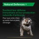 Produit Natural Defences + pour chiens, promouvant le soutien immunitaire et la production d'anticorps naturels, avec un texte en français sur l'énergie et la force.