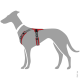 Illustration eines grauen Hundes, der ein rotes und schwarzes Geschirr trägt, das das Design und die Passform des Geschirrs zeigt.
