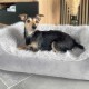 Ein kleiner Hund, der bequem auf einem plüschigen, grauen Haustierbett mit weichem, flauschigem Innenraum ruht, vor einem modernen Wohninterieur.