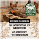 Hühner picken an einem Futterblock in einem Stall, mit Text über gesunde Belohnungen zur Unterstützung des Immunsystems und dem FarmLife AniForte-Logo.