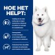 Een lachende witte Samoyed hond staat naast blauwe tekst die uitlegt hoe een huisdierenvoer helpt bij de nierfunctie, activiteitsniveaus en spieronderhoud.