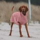 Ein brauner Hund trägt einen weichen rosa Kapuzenpullover und steht an einem sandigen Strand, mit hohem Gras und einem verschwommenen Hintergrund.