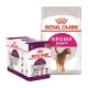 Emballage de nourriture pour animaux Royal Canin avec une boîte de sachets de nourriture pour chats "Sensory" et un sac de nourriture sèche pour chats "Aroma Exigent".