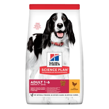 Nourriture pour chien Hill's Science Plan Adult 1-6 Medium au poulet, soutient l'immunité et la digestion, chiens de 11 à 25 kg.