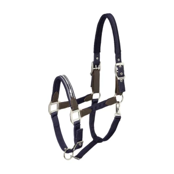 Marineblaues Haustiergeschirr mit silbernen Schnallen und braunen Akzenten, entworfen für Komfort und Kontrolle.