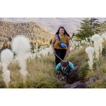 Eine Frau wandert auf einem Pfad mit einem braunen Hund, der einen blauen Rucksack trägt, umgeben von hohen weißen Blumen und grünen Bergen im Hintergrund.