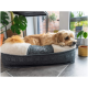 Ein kleiner, flauschiger Hund entspannt sich auf einem grauen Haustierbett mit einem weißen Kissen, umgeben von grünen Pflanzen und einem hellen Fenster.