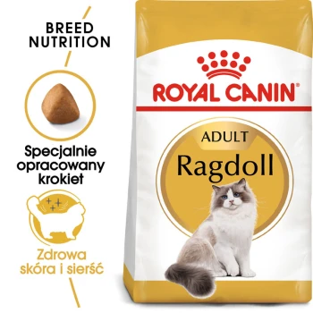Torba z karmą dla kotów Ragdoll Royal Canin z puszystym kotem Ragdoll, z tekstem podkreślającym odżywianie rasy i korzyści dla skóry i sierści.