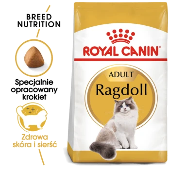 Torba z karmą dla kotów Ragdoll Royal Canin z puszystym kotem Ragdoll, z tekstem podkreślającym odżywianie rasy i korzyści dla skóry i sierści.