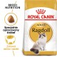Torba z karmą dla kotów Ragdoll Royal Canin z puszystym kotem Ragdoll, z tekstem podkreślającym odżywianie rasy i korzyści dla skóry i sierści.
