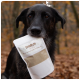 Ein schwarzer Hund hält ein Paket mit der Aufschrift 'SHIIMUN SKIN' im Mund, vor einem Hintergrund aus Herbstblättern.