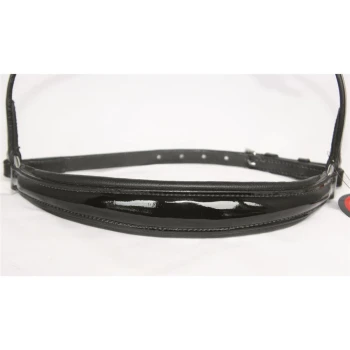 Schwarzes glänzendes Haustierhalsband mit einem eleganten Design, mit verstellbaren Löchern für die Größenanpassung.