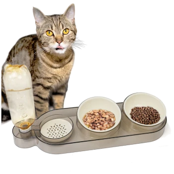 Getigerte Katze mit gelben Augen neben einem dreiteiligen Futterspender mit Wasser, Nass- und Trockenfutter auf weißem Hintergrund.