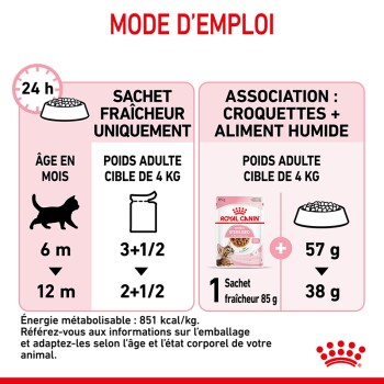 Instructions pour nourrir les chats, détaillant les portions pour un poids cible de 4 kg, avec un accent sur la combinaison de nourriture sèche et humide.