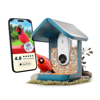 Ein lebendiger roter Kardinal sitzt auf einem Vogelhaus mit einer Kamera, neben einem Smartphone, das eine 4,8-Sterne-Bewertung und "NEUE" Funktionen anzeigt.