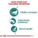 Infographic promoting tailored nutrition for cats, featuring three key benefits: Vitality complex, Instinctively preferred, and Renal health.