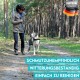 Eine Person führt einen großen Hund auf einem Waldweg, mit Textüberlagerung, die 'SCHMUTZUNEMPFINDLICH', 'WITTERUNGSBESTÄNDIG' und 'EINFACH ZU REINIGEN' angibt.